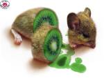 kiwi ??